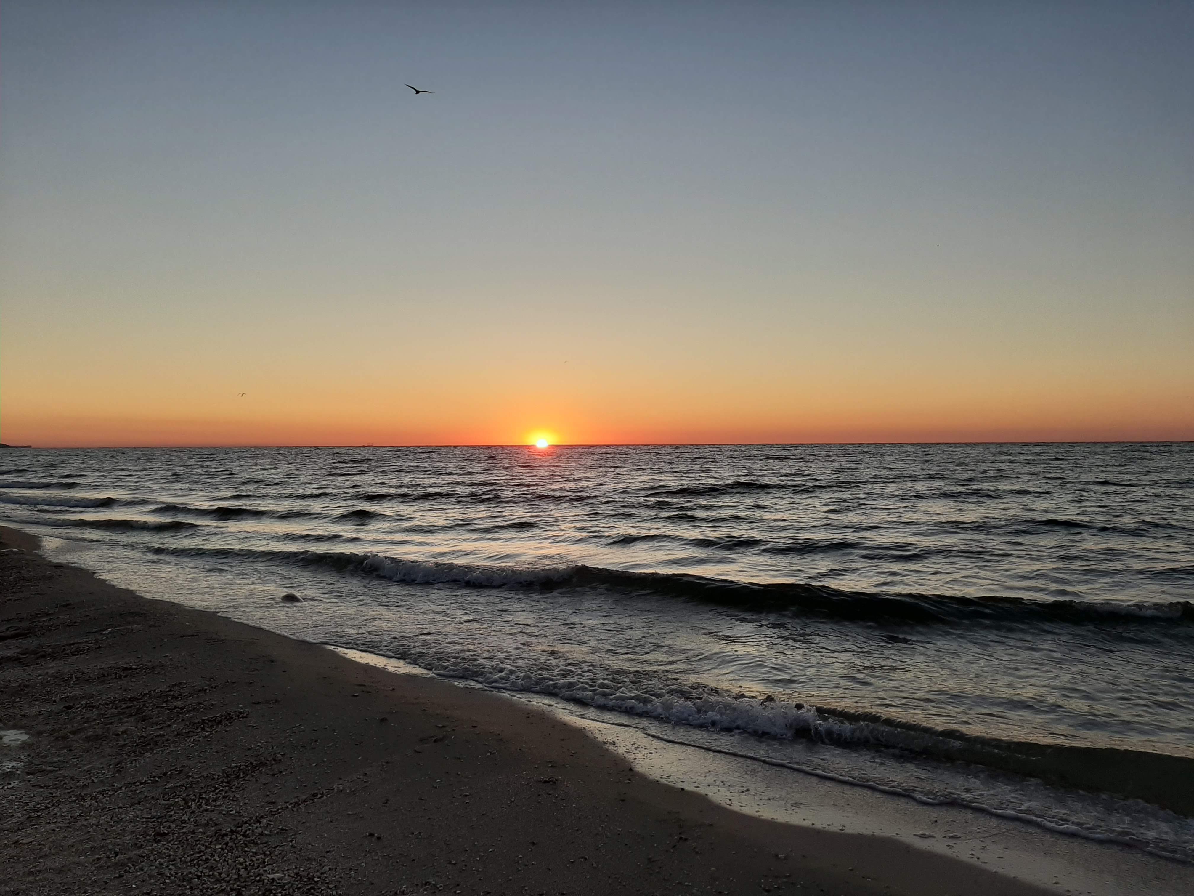 Pizza Алладин image 4