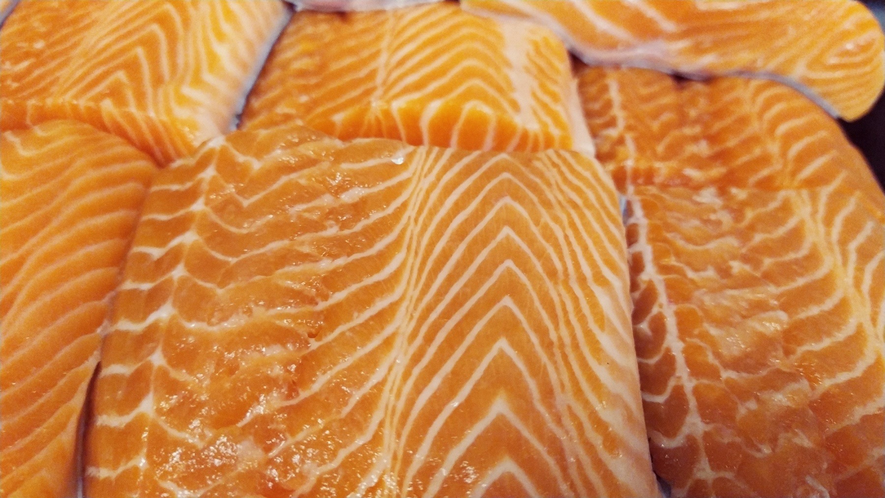 Sushi Bar Tokado image 4