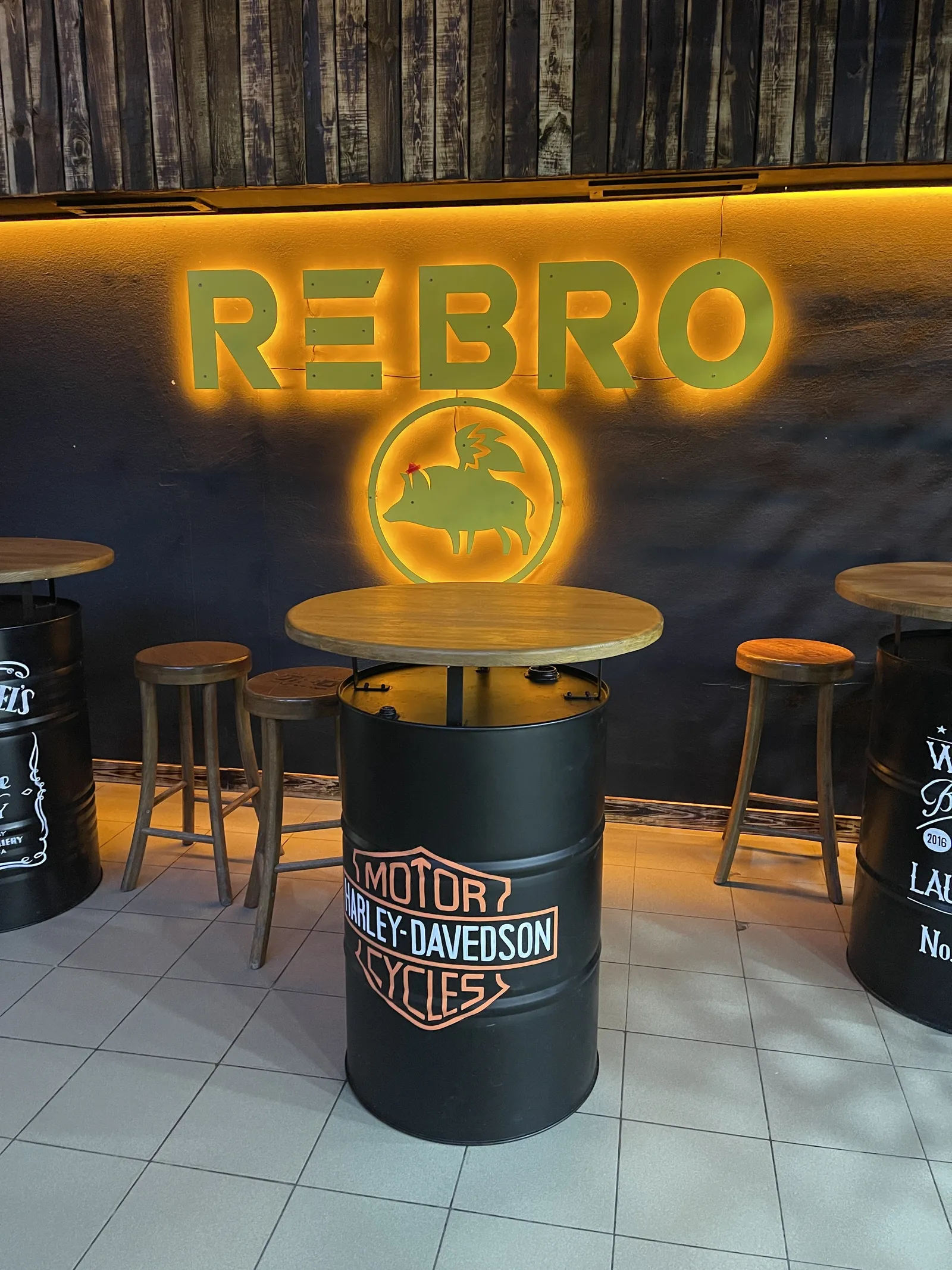 REBRO image 3