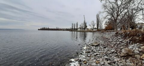 Мандарин image 8