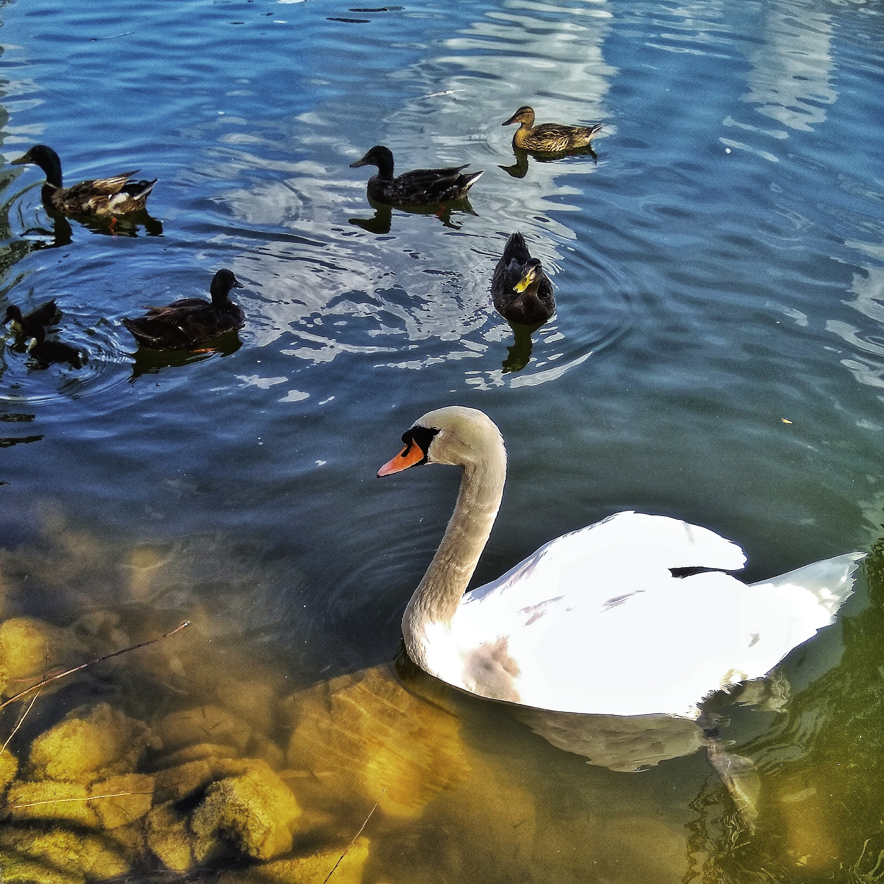 Веранда image 5