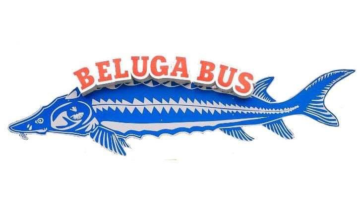 Beluga image 3