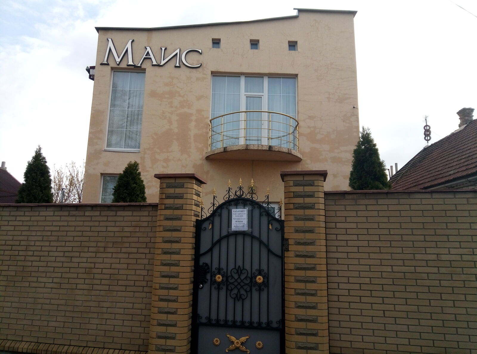 Маис image 7