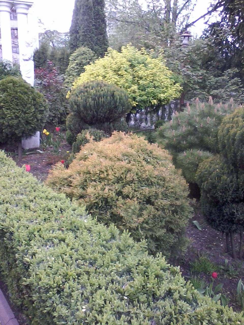 ГЮЛИСТАН image 9