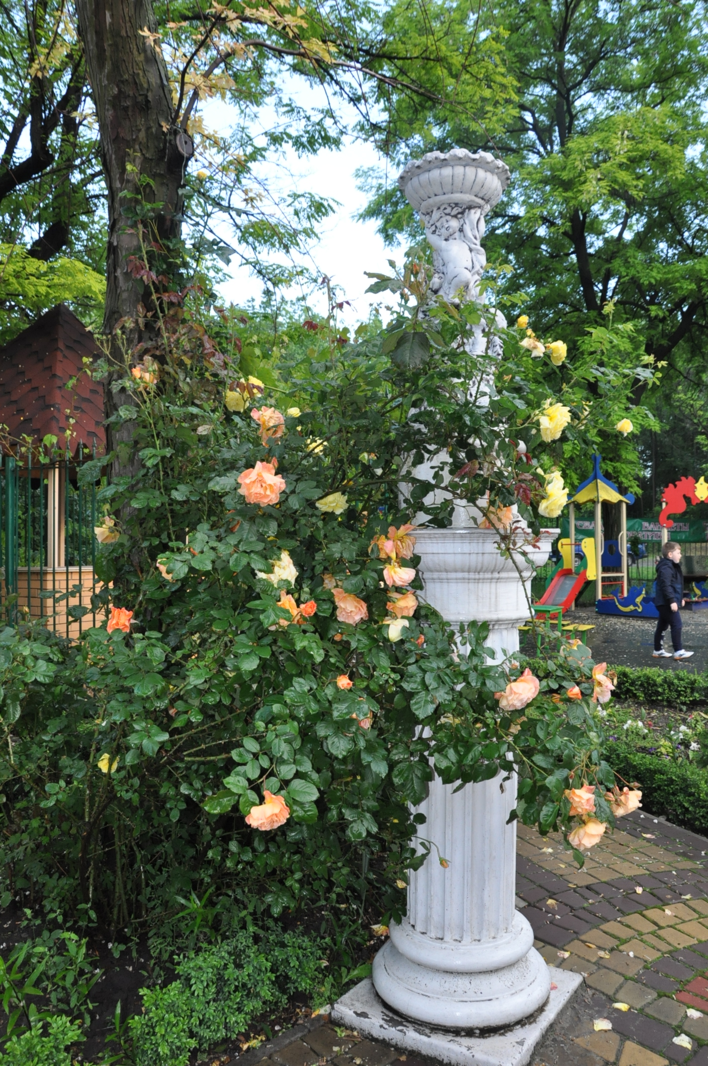 ГЮЛИСТАН image 10