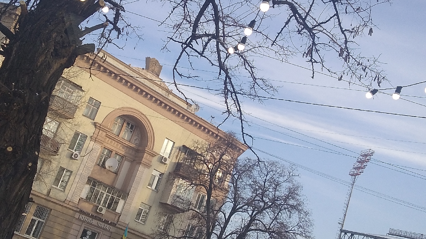 A1 Aristocrate image 2