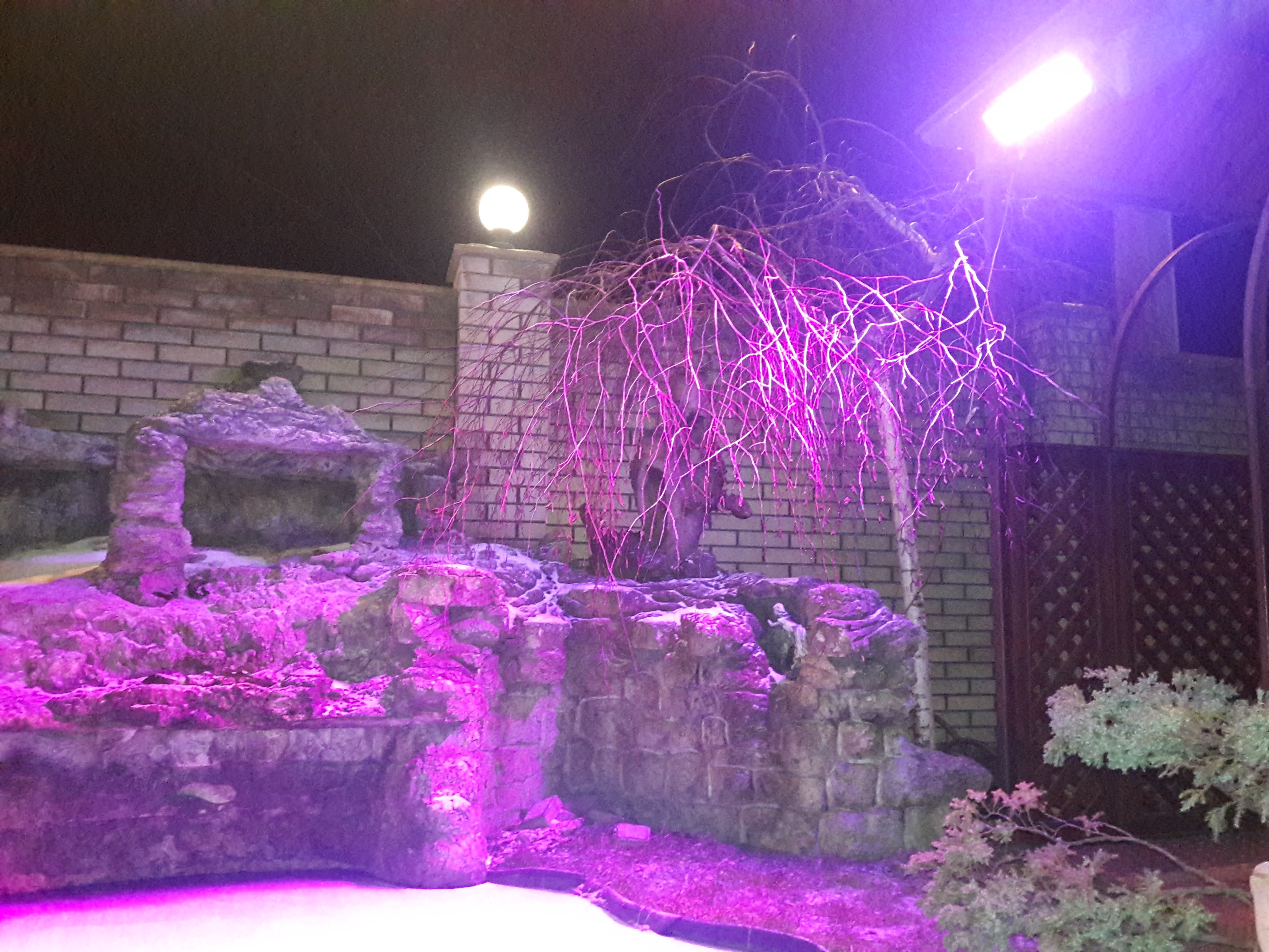 Gyumri Restaurant image 4