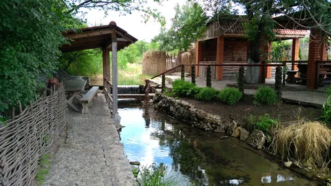 Форель image 2
