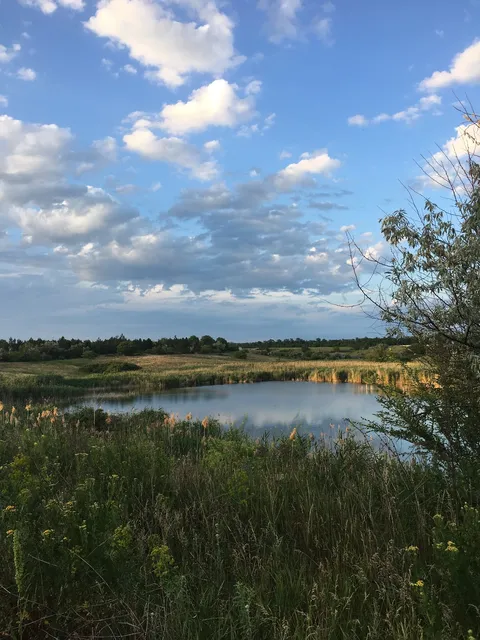 Форель image 4