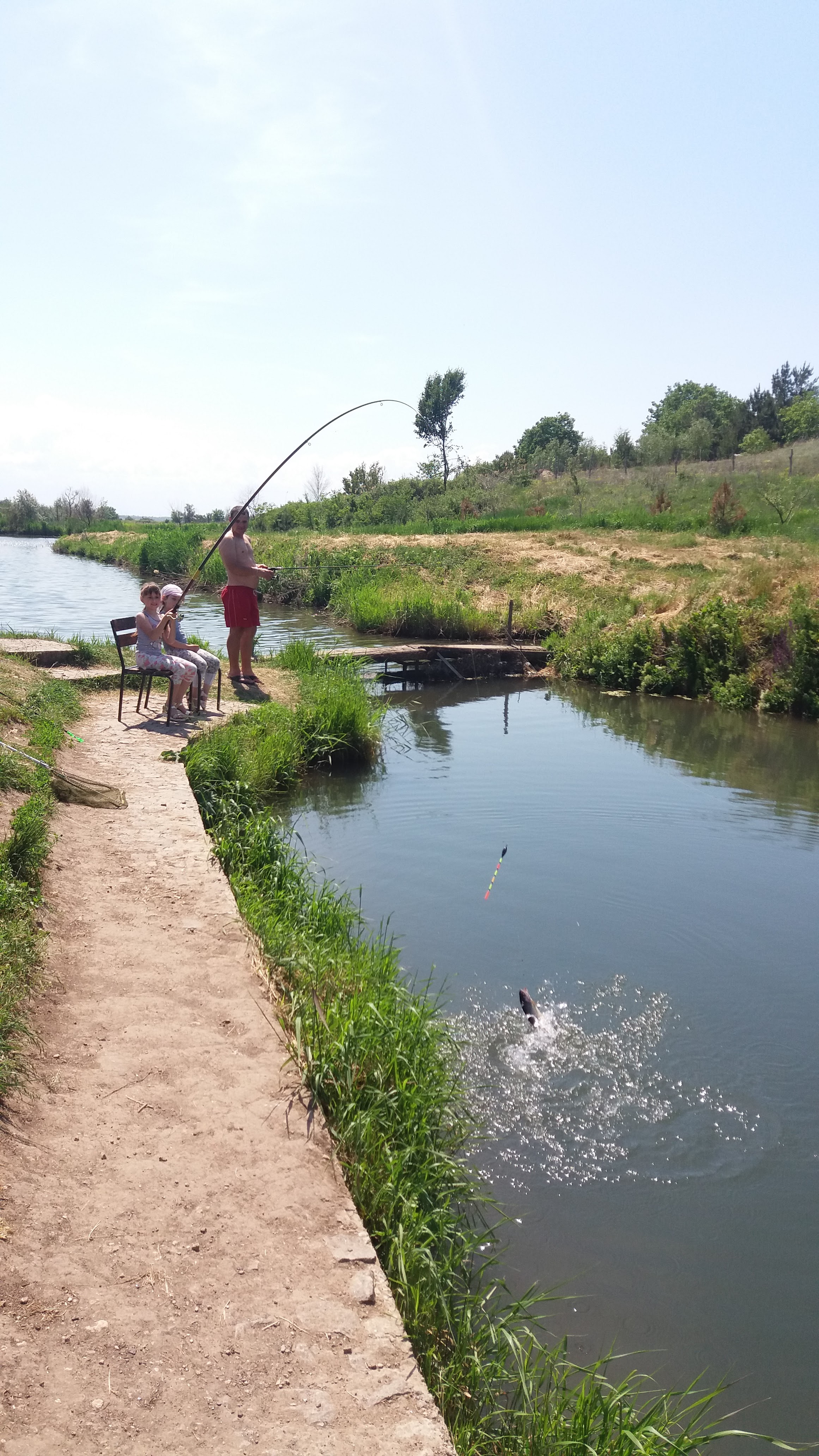 Форель image 6