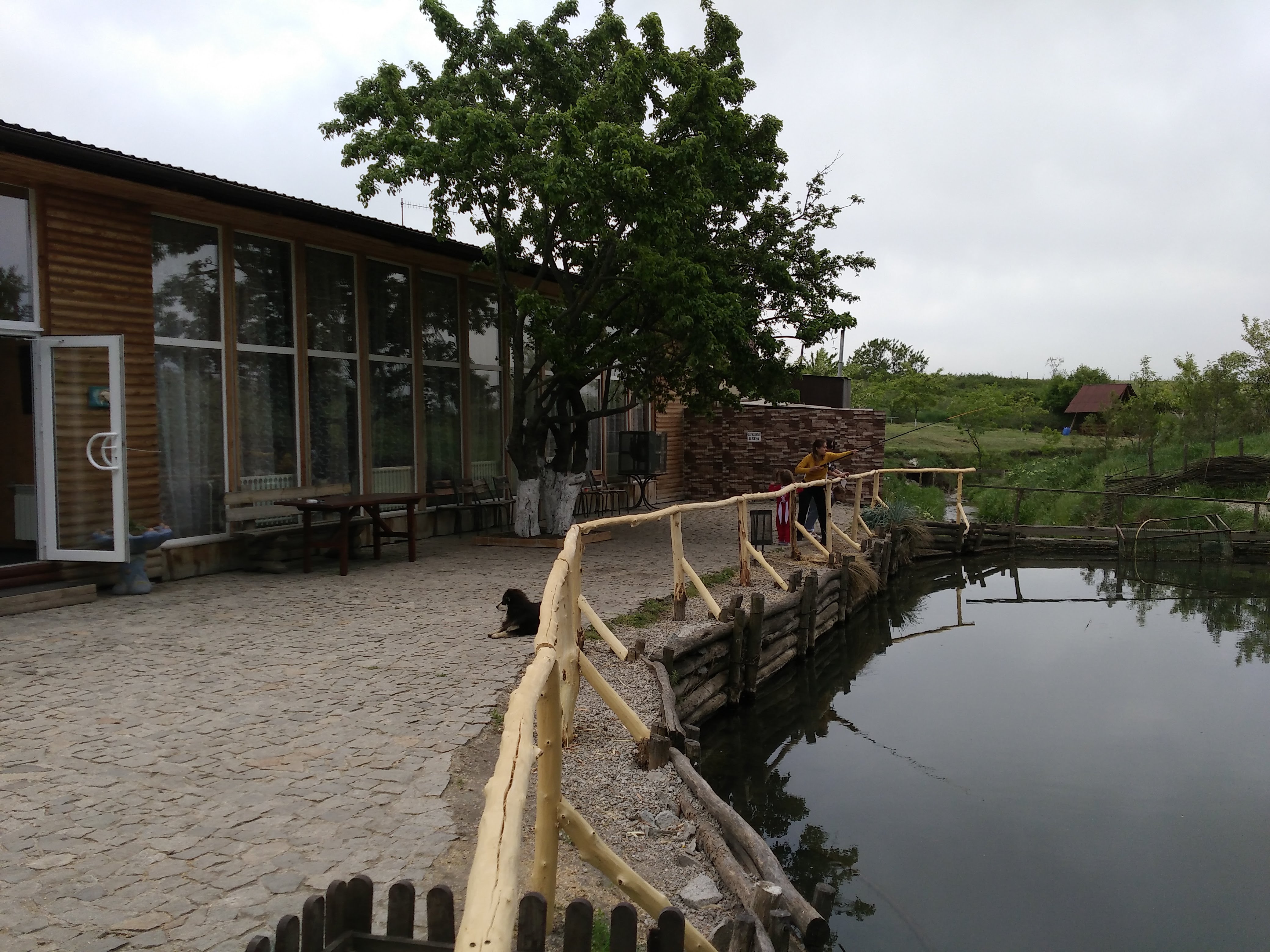 Форель image 7