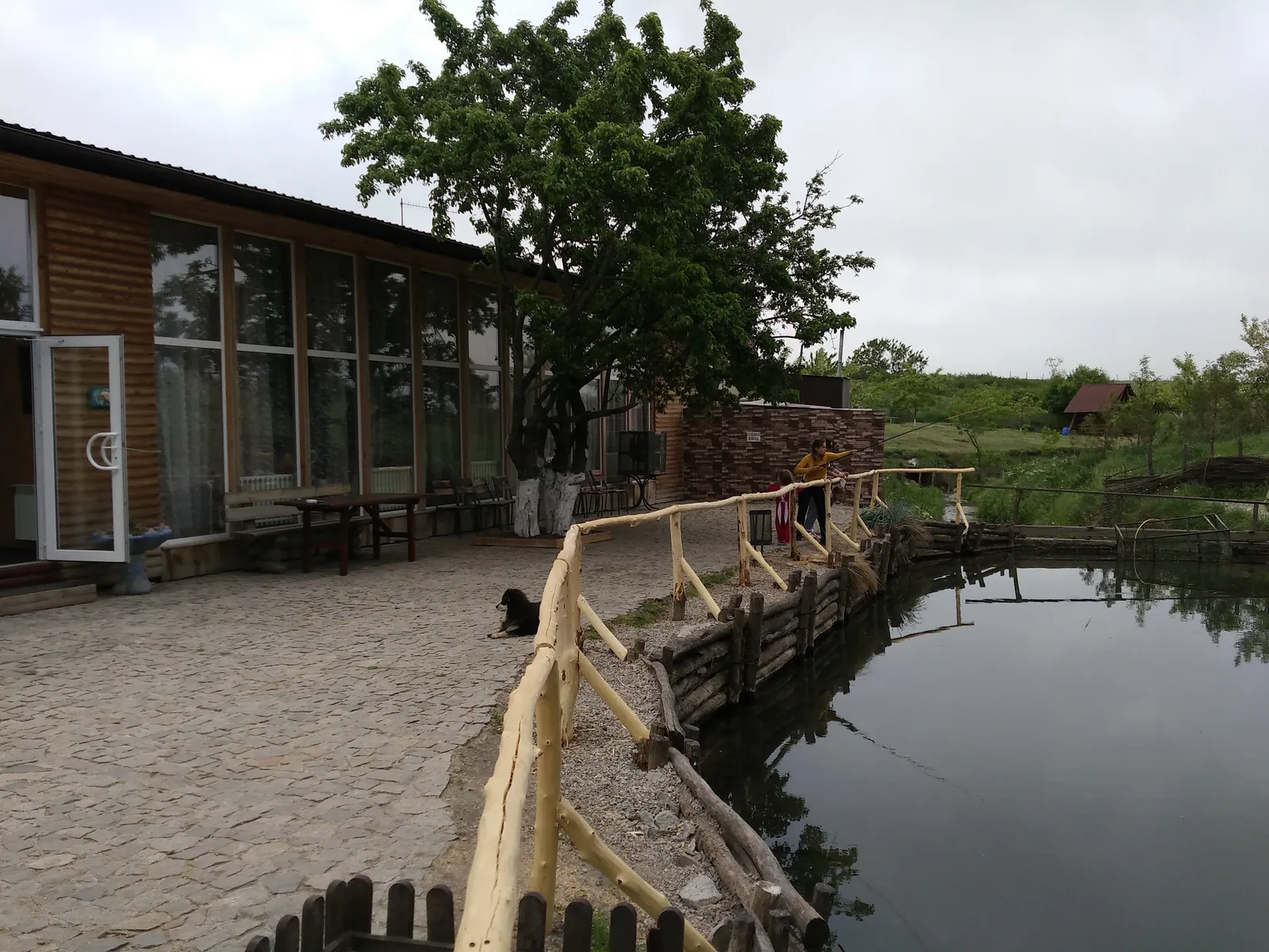 Форель image 7