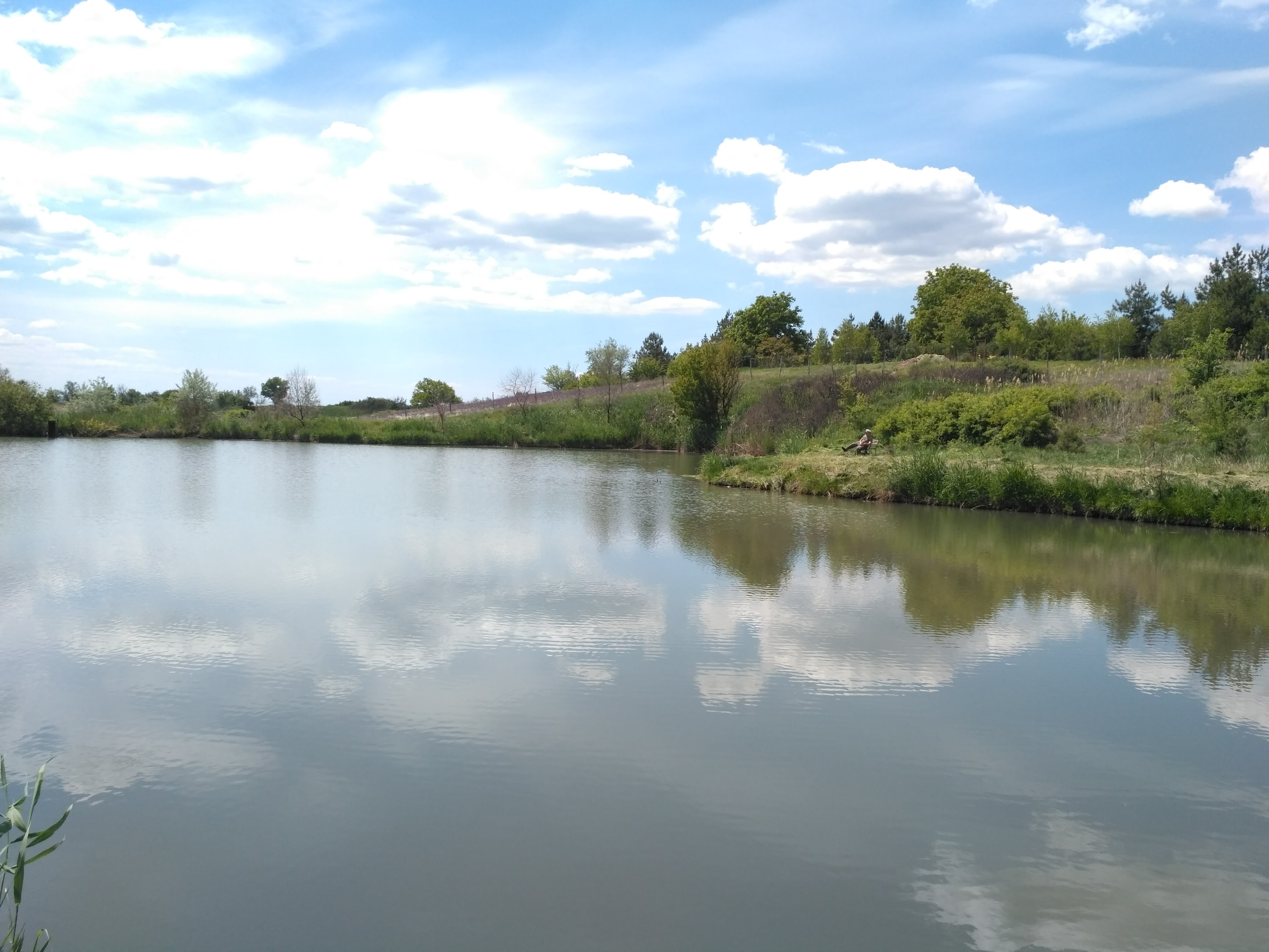 Форель image 10