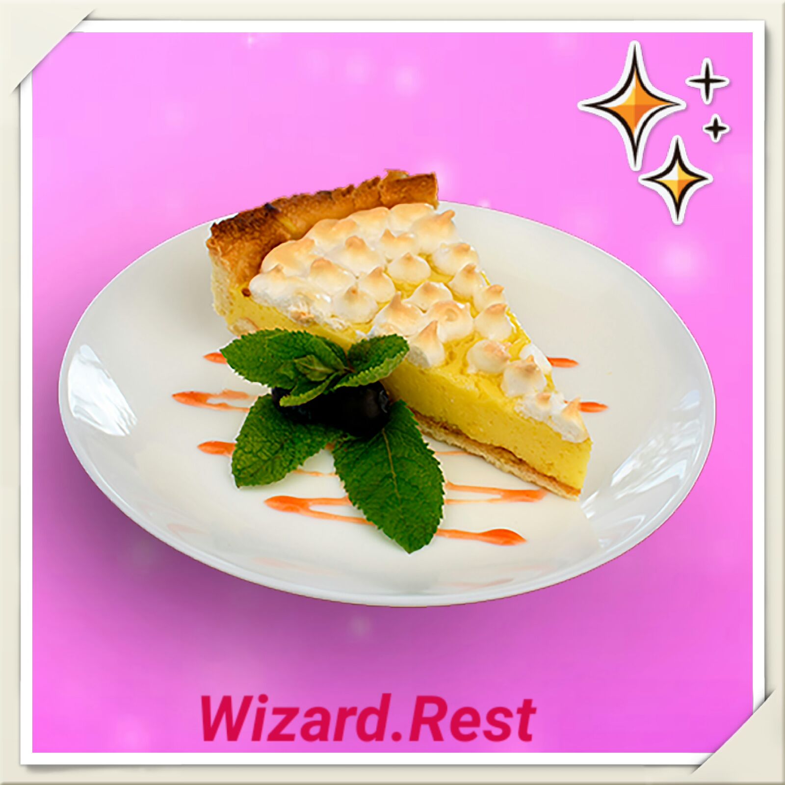 Vizard image 2
