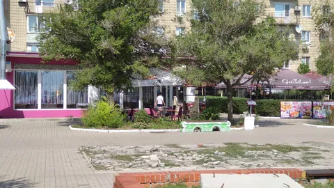 Vizard image 8