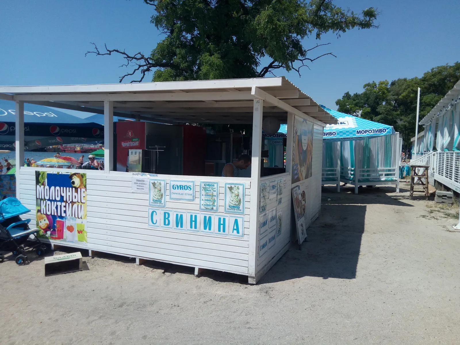 Gyros image 3