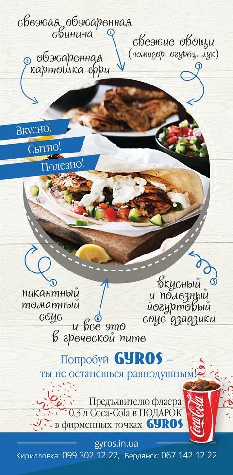 Gyros image 8