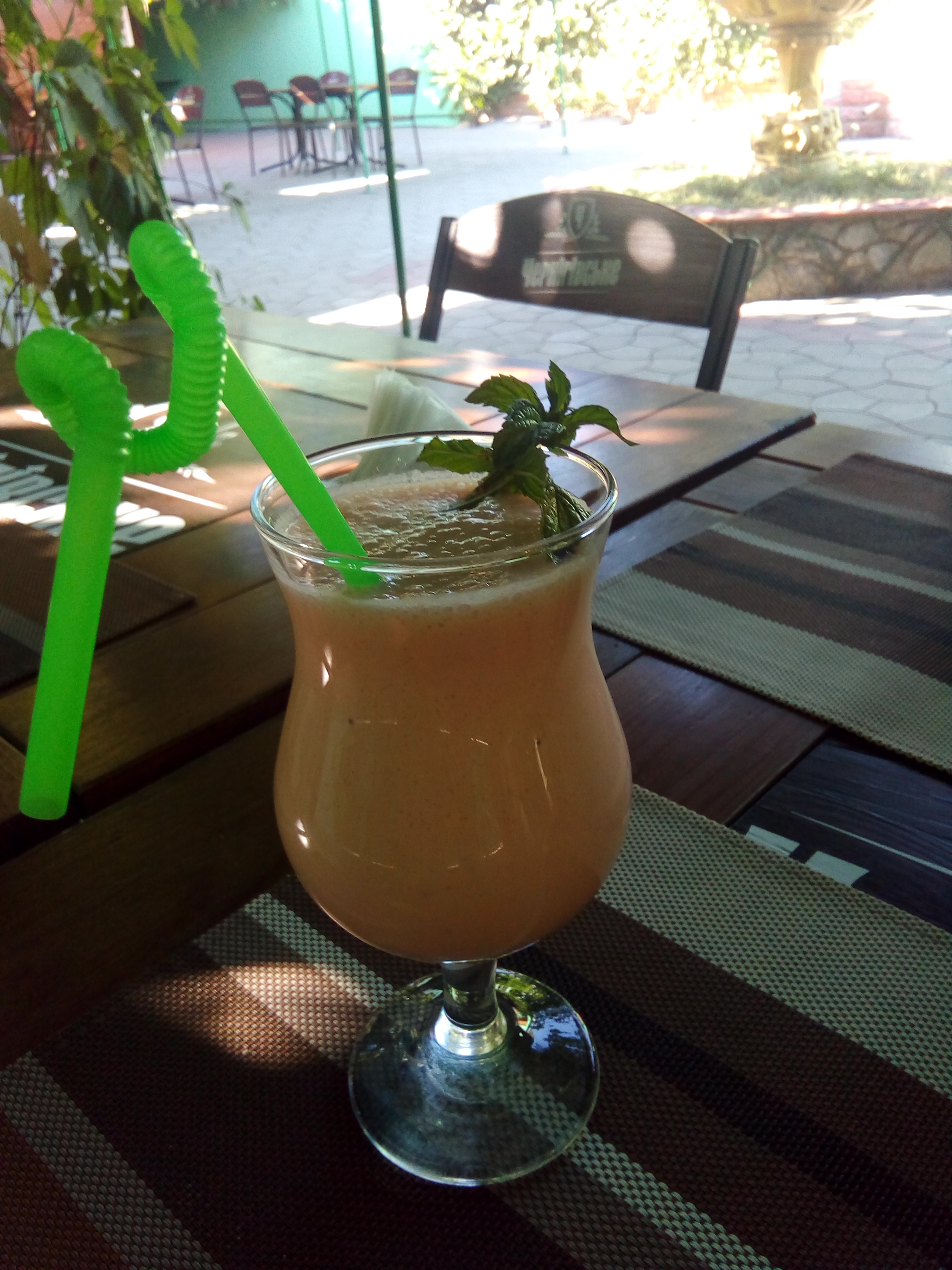 Gastrobar "Laguna" image 7