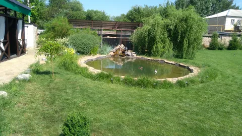 Кафе -SUMMERHOUSE image 3