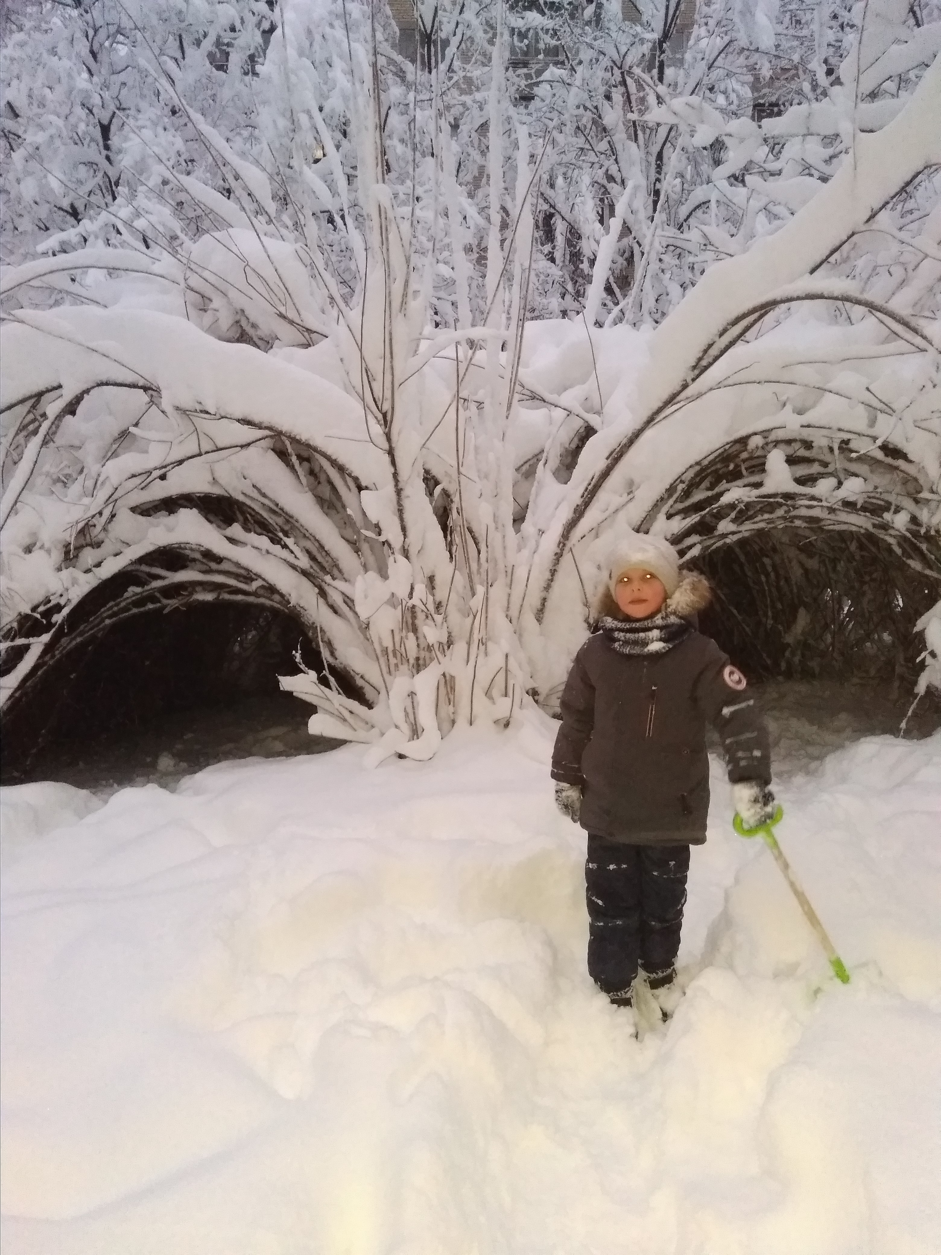 Foggy Albion image 3