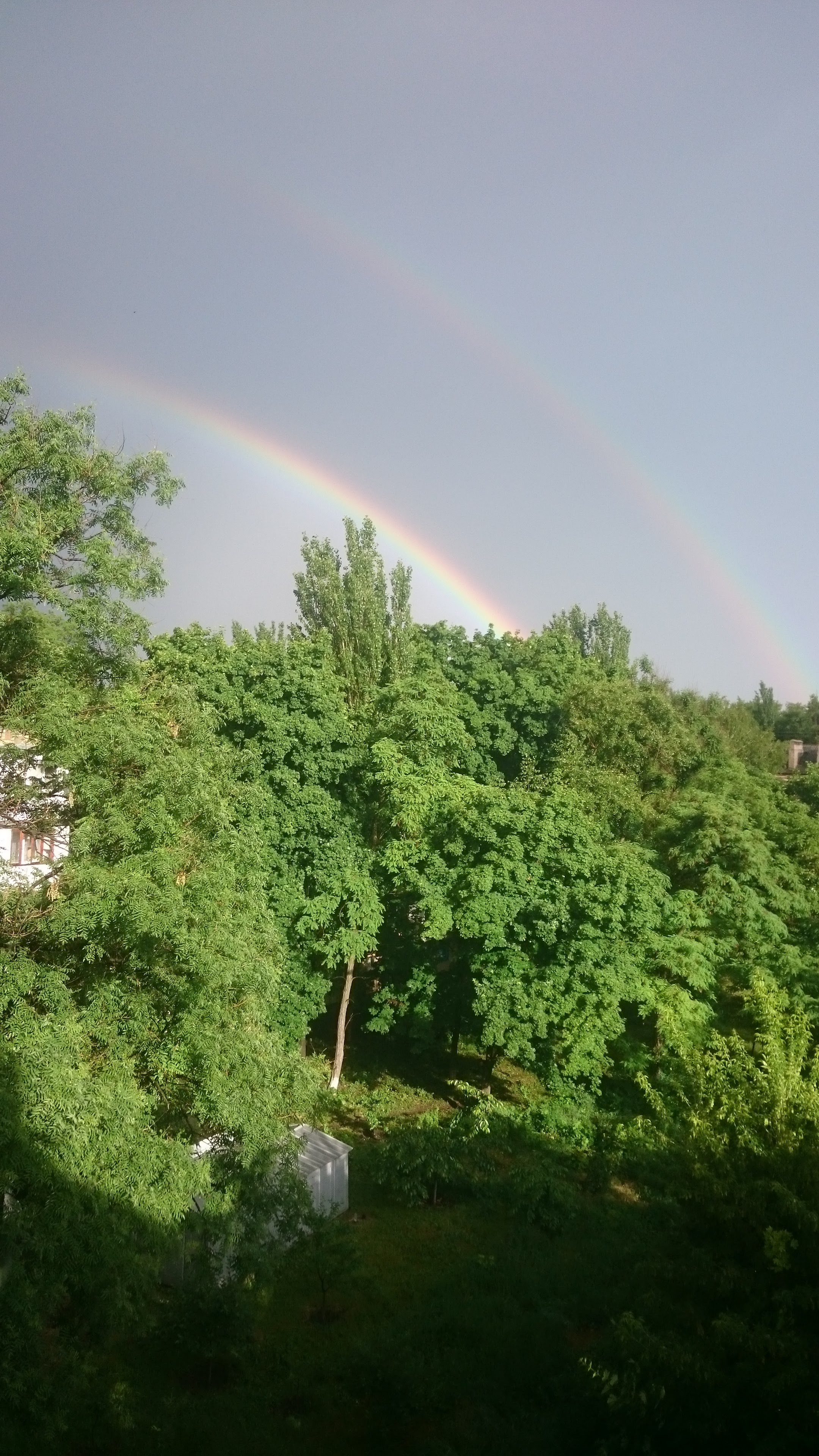 KOKO Lounge bar image 9