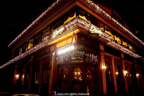 Golden Lion image 4