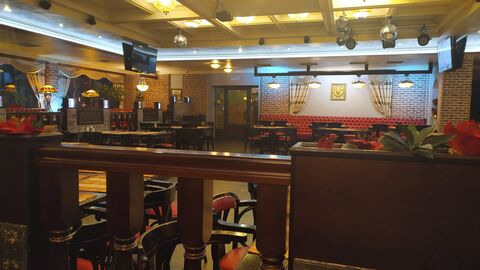 Golden Lion image 7