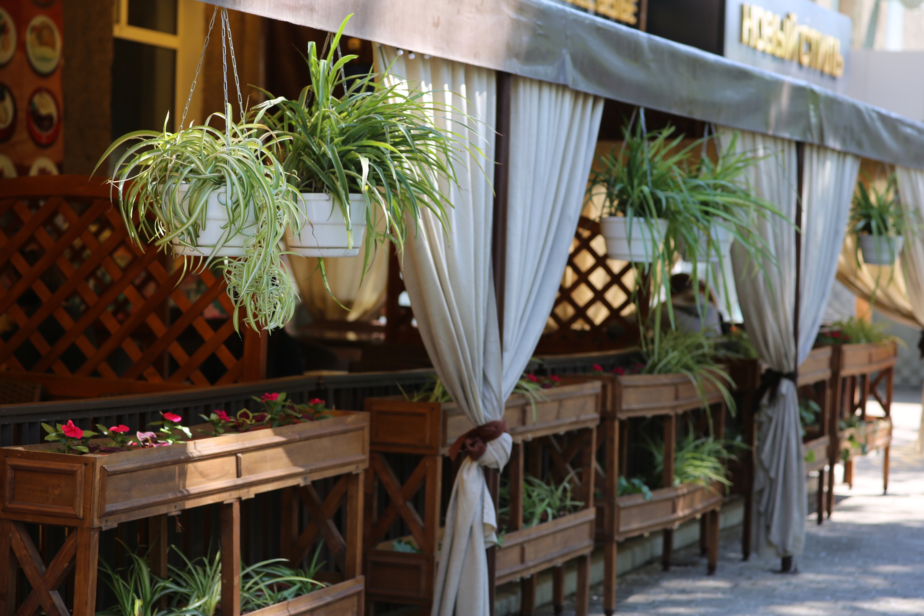 Try Tolstyaka image 1