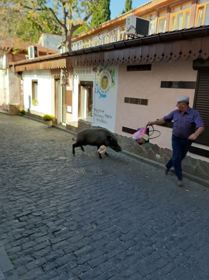 РЕСТОРАН ПРОЕКТ СЕРВИС, ООО image 1