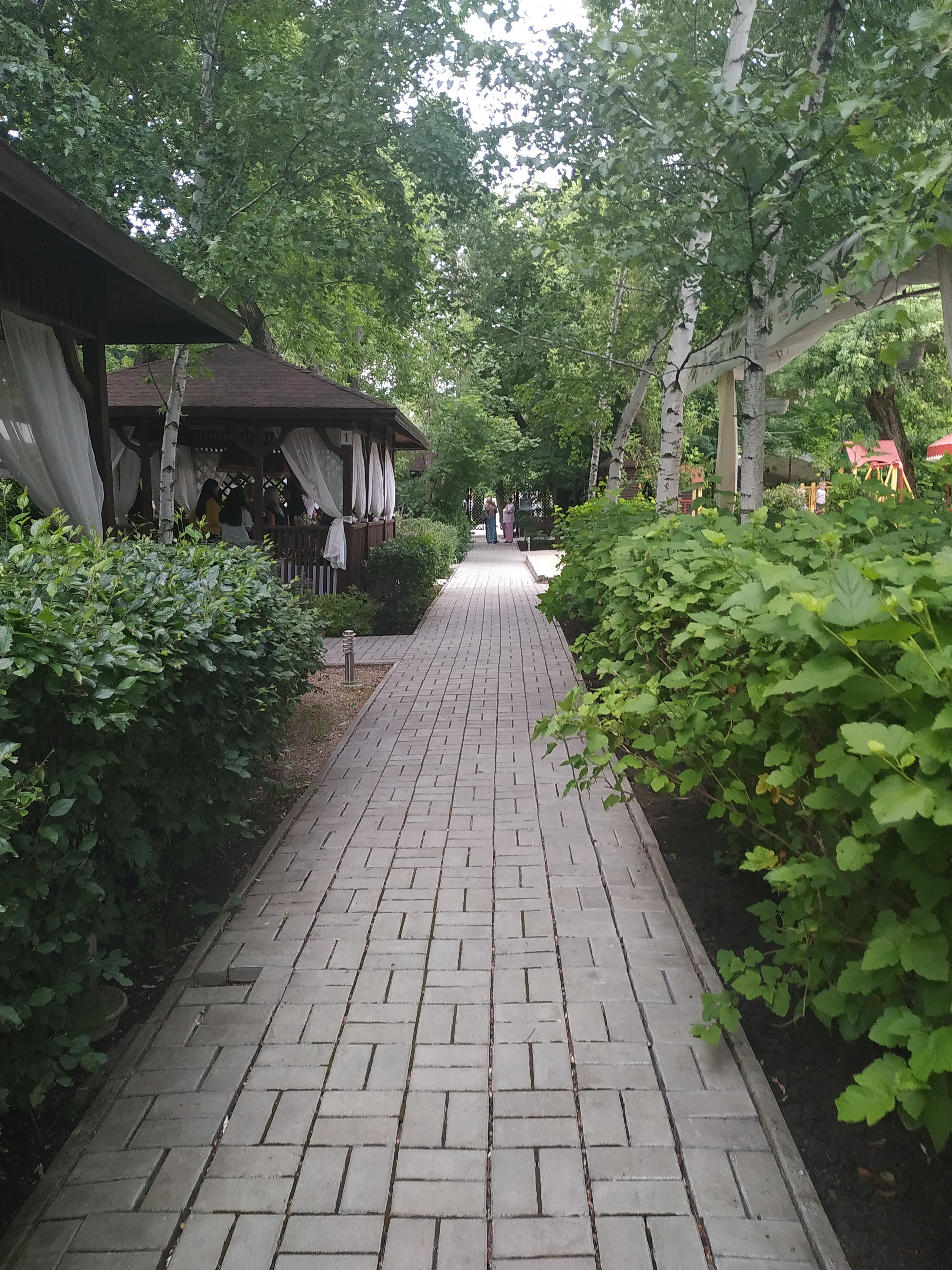 Плакучая ива image 3