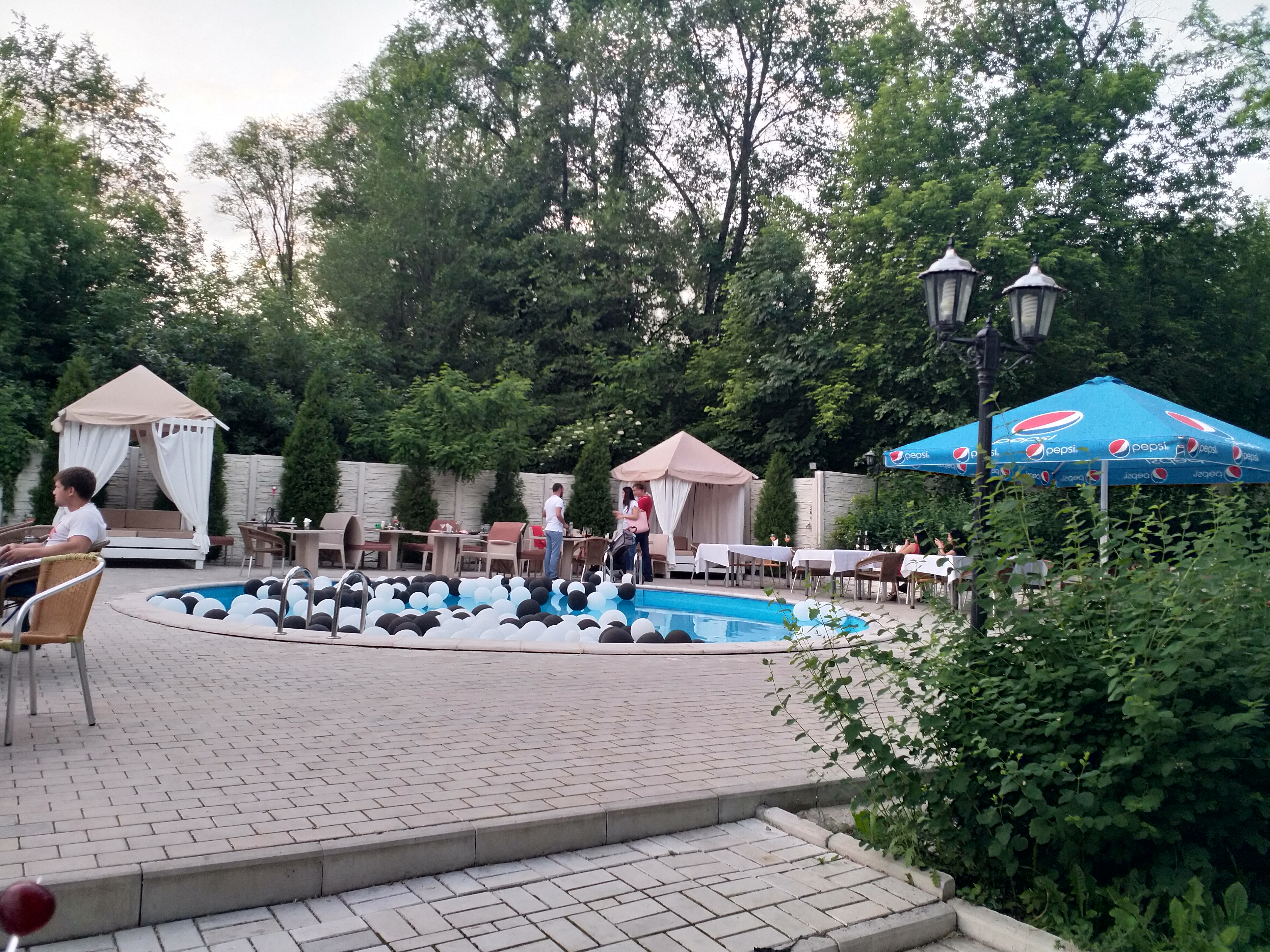 Плакучая ива image 5