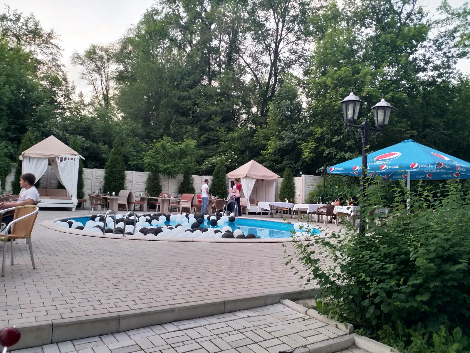 Плакучая ива image 5
