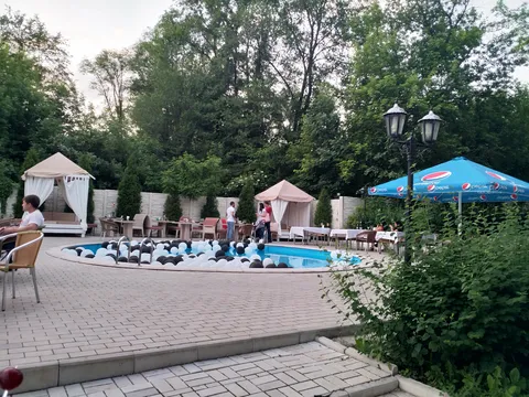 Плакучая ива image 5