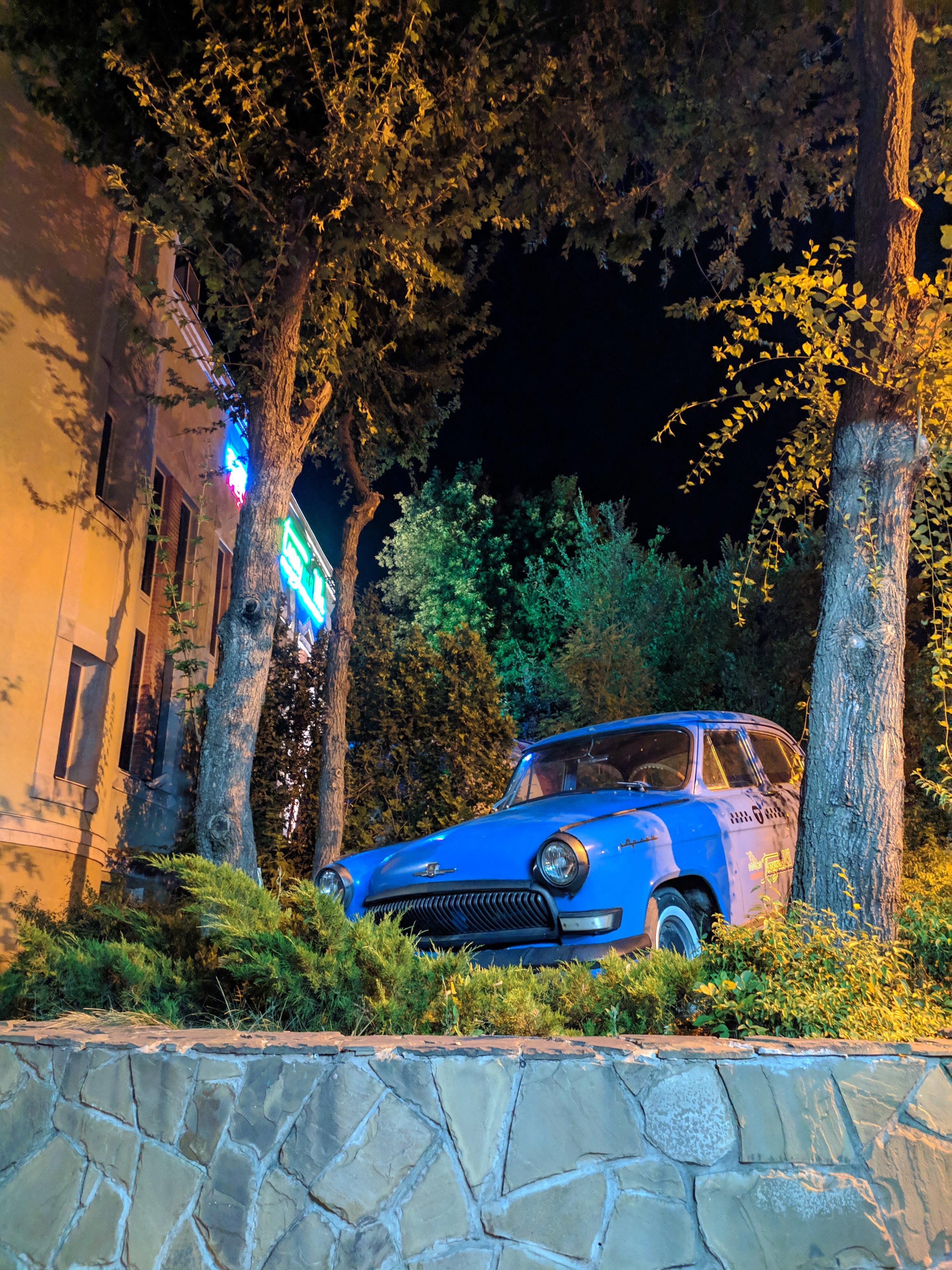 Плакучая ива image 6