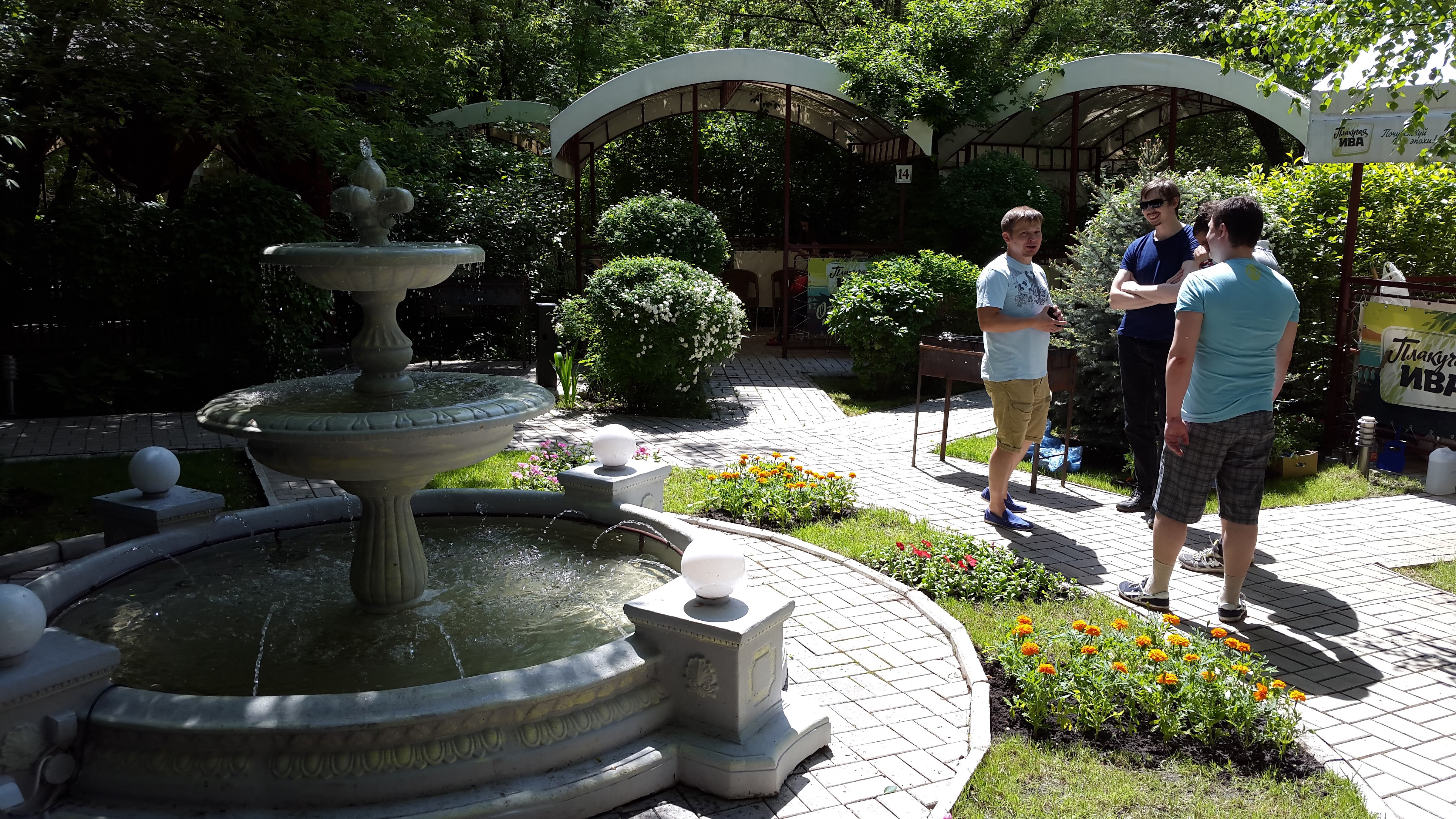 Плакучая ива image 7