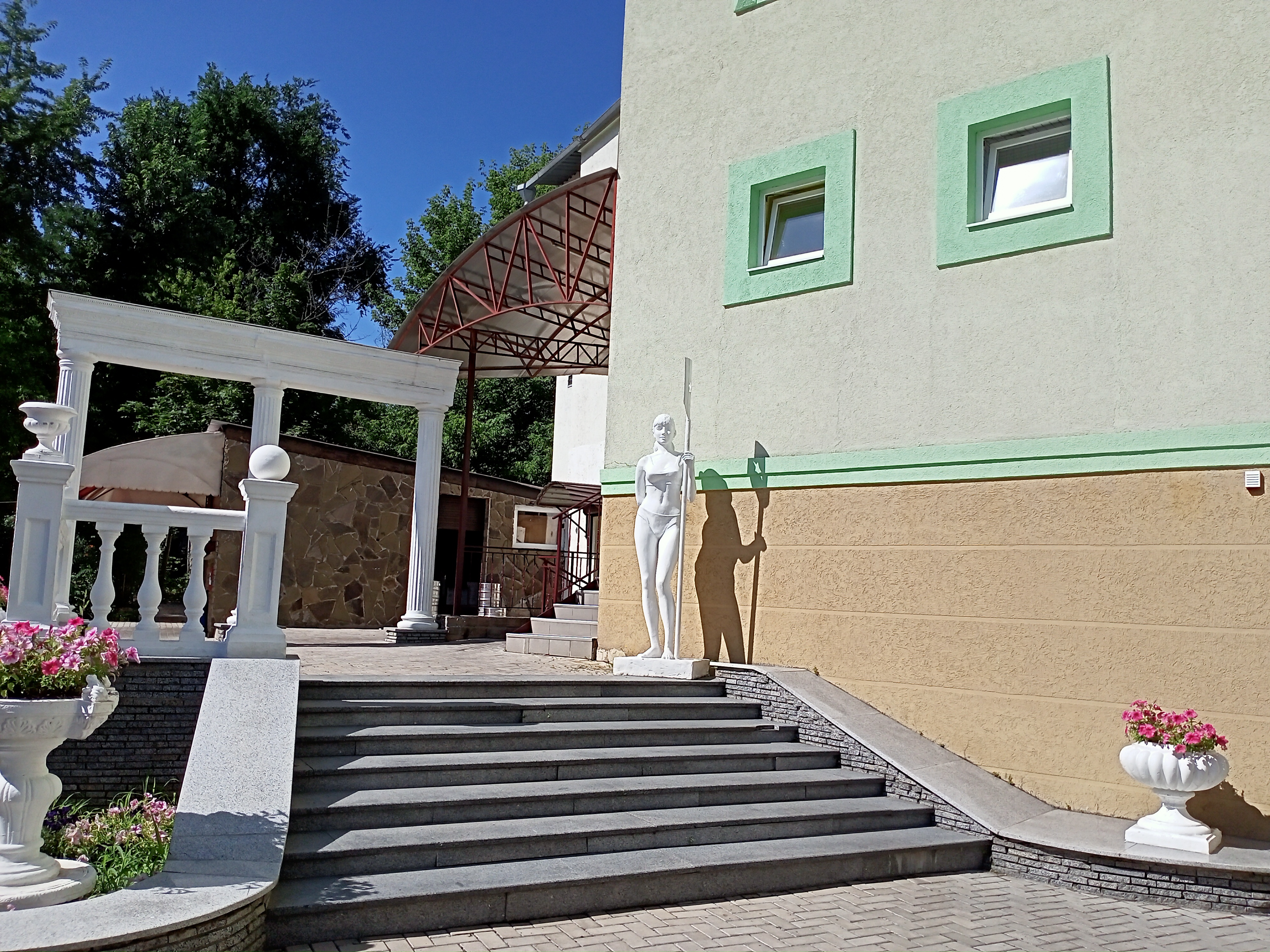 Плакучая ива image 8