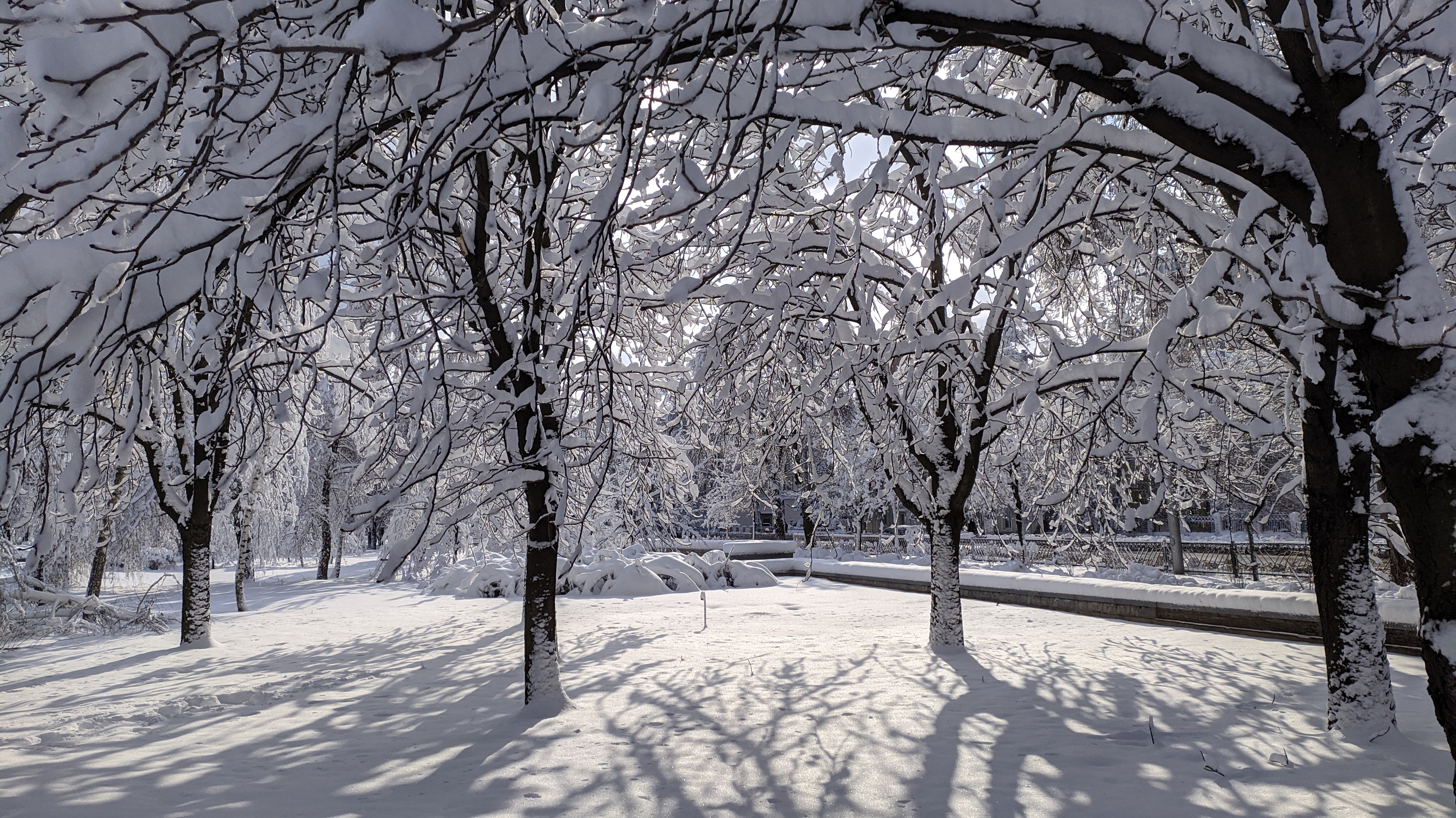 Кафе "Александрия" image 2