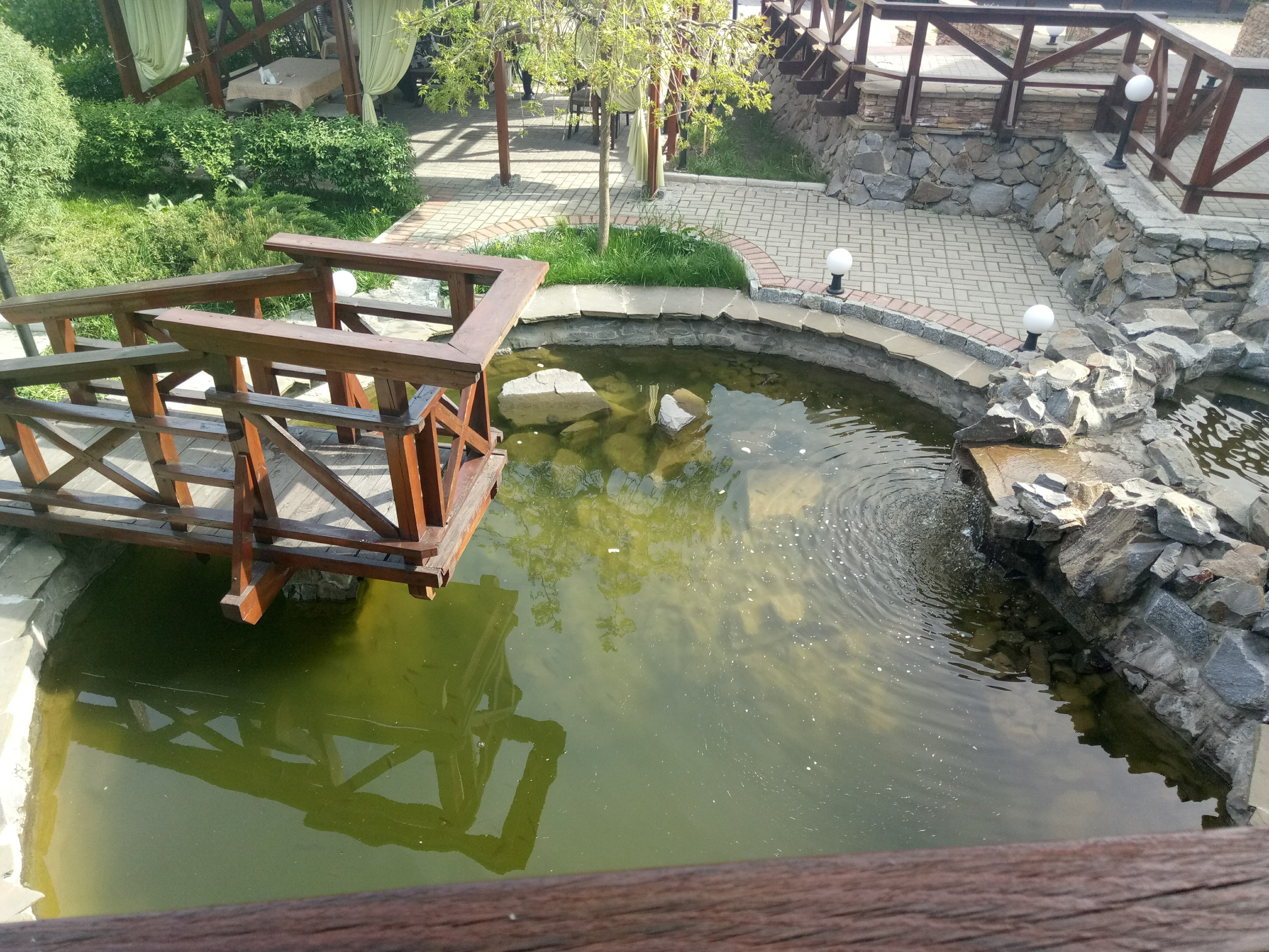 Аркадия image 4