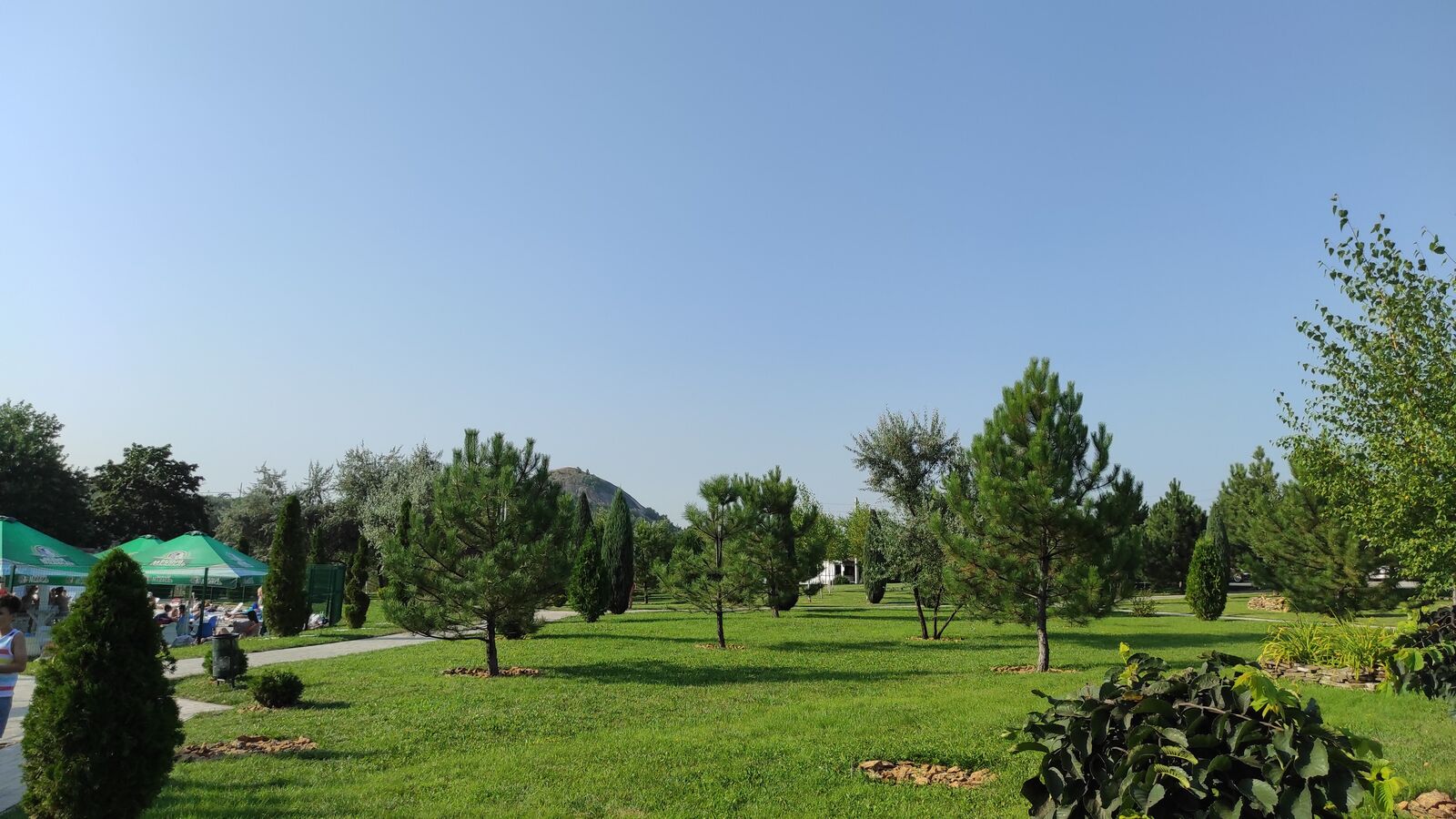 Roshcha image 9