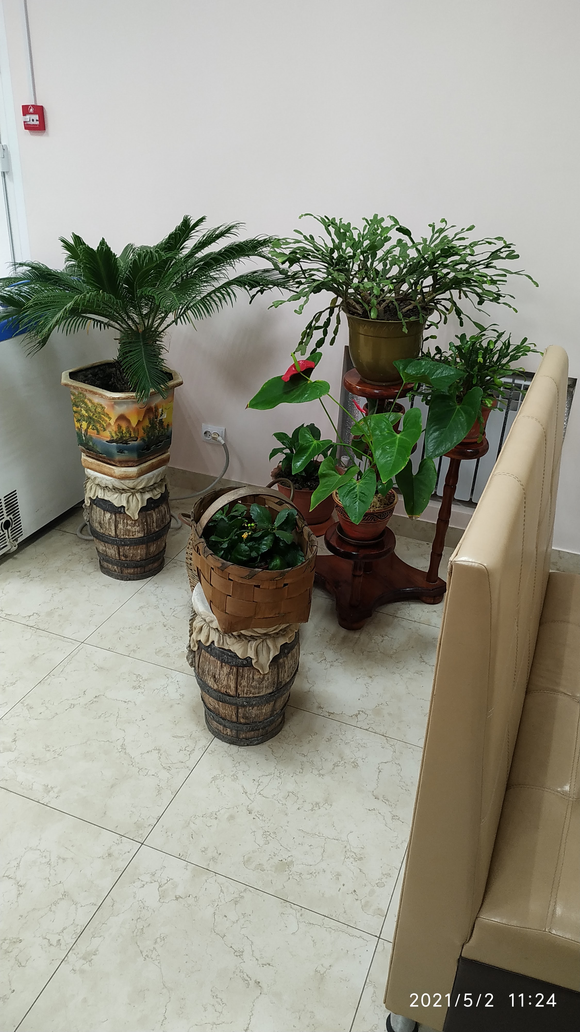 ПИЦЦЕРИЯ и МАГАЗИН "МАТРЁШКА" image 5