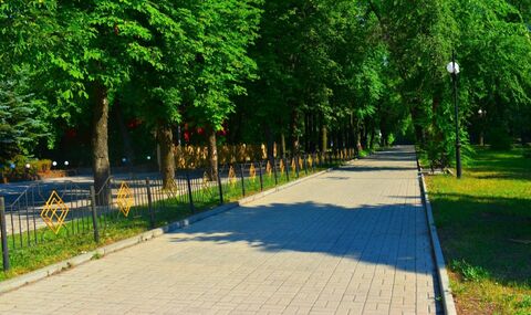 Oleksandriya image 8
