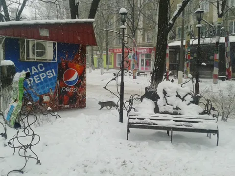 Берлога image 6