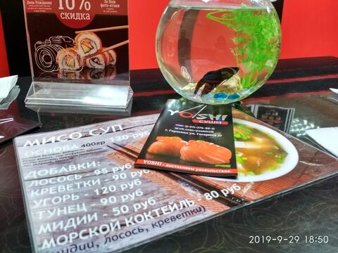 Yoshi Sushi image 8