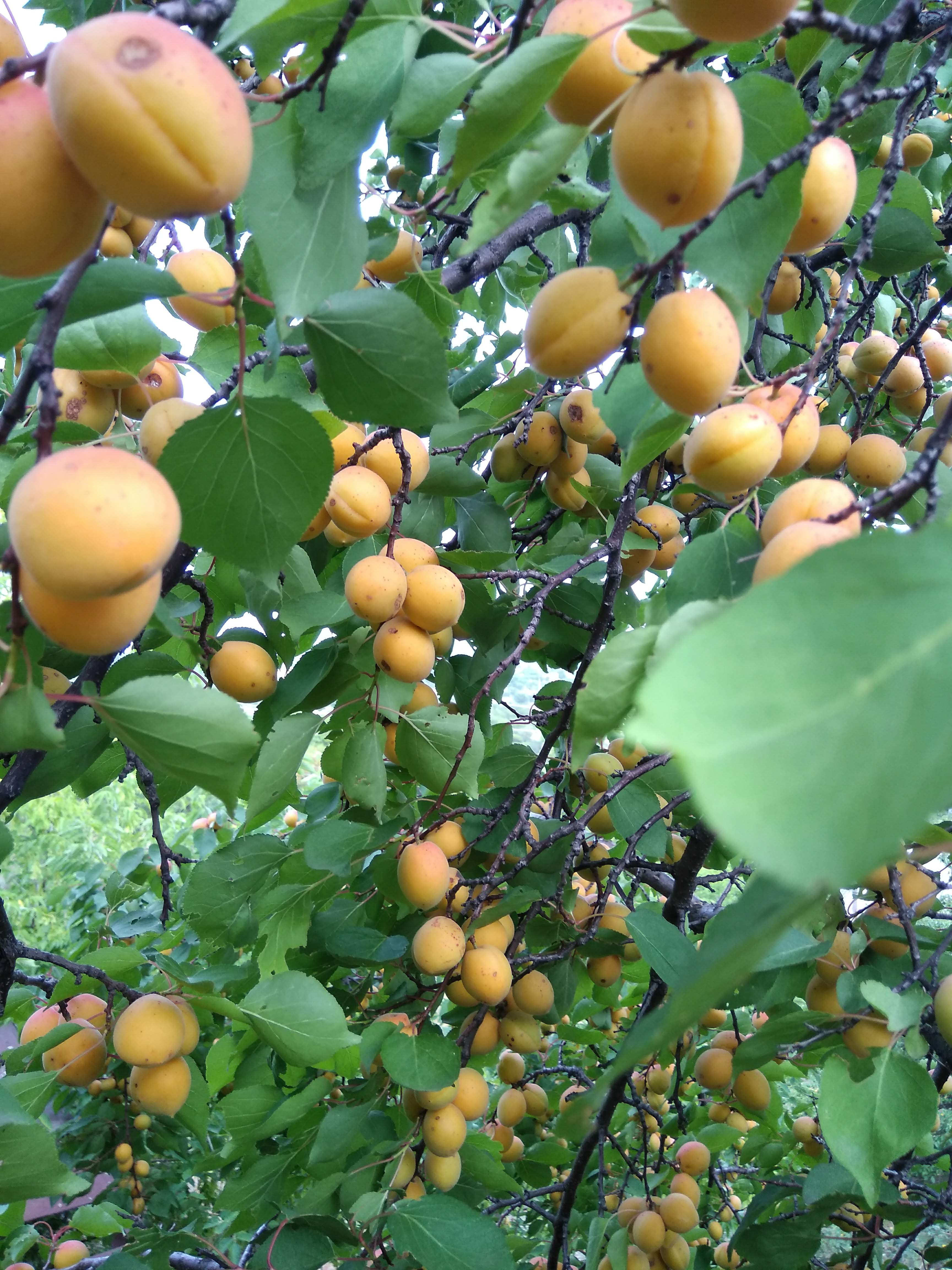 Торты и сладкая выпечка image 2