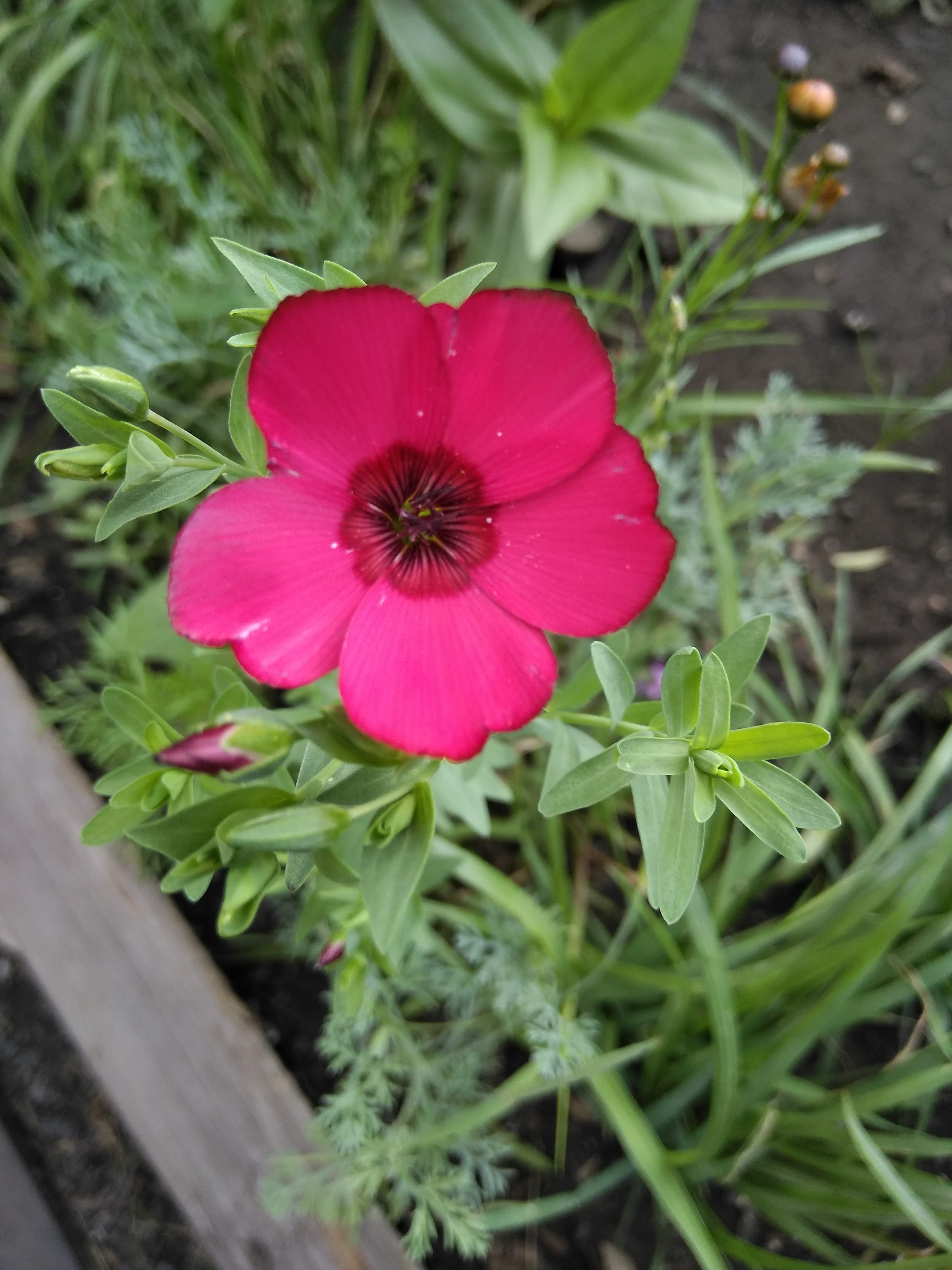 Торты и сладкая выпечка image 4