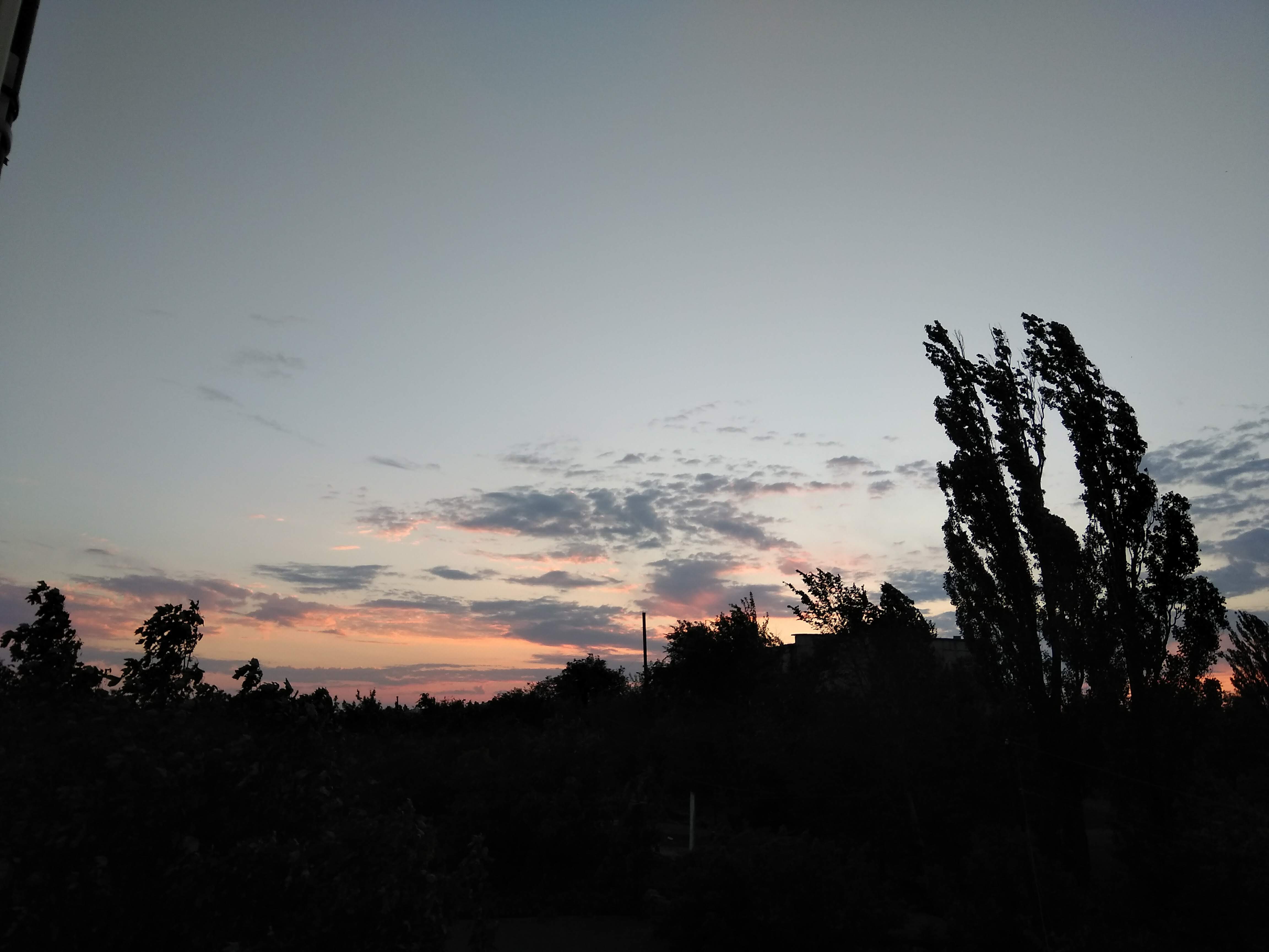 Торты и сладкая выпечка image 5