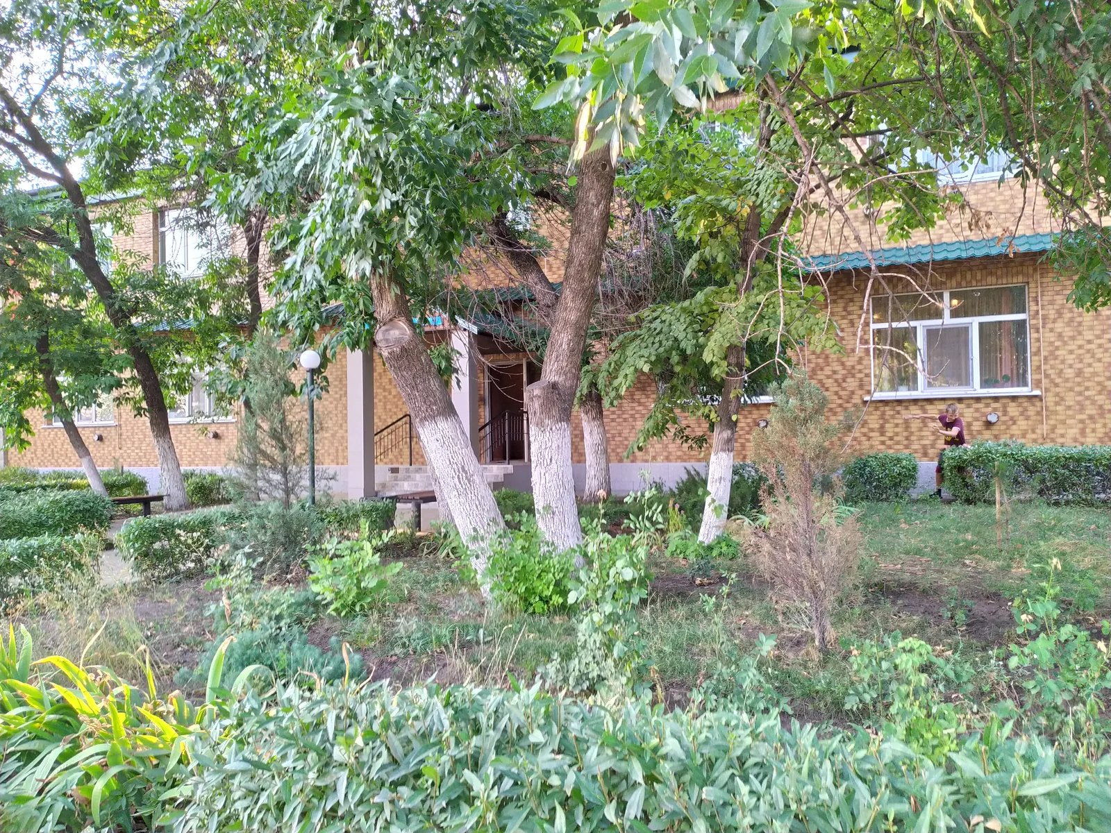 Кафе Жемчужина image 4