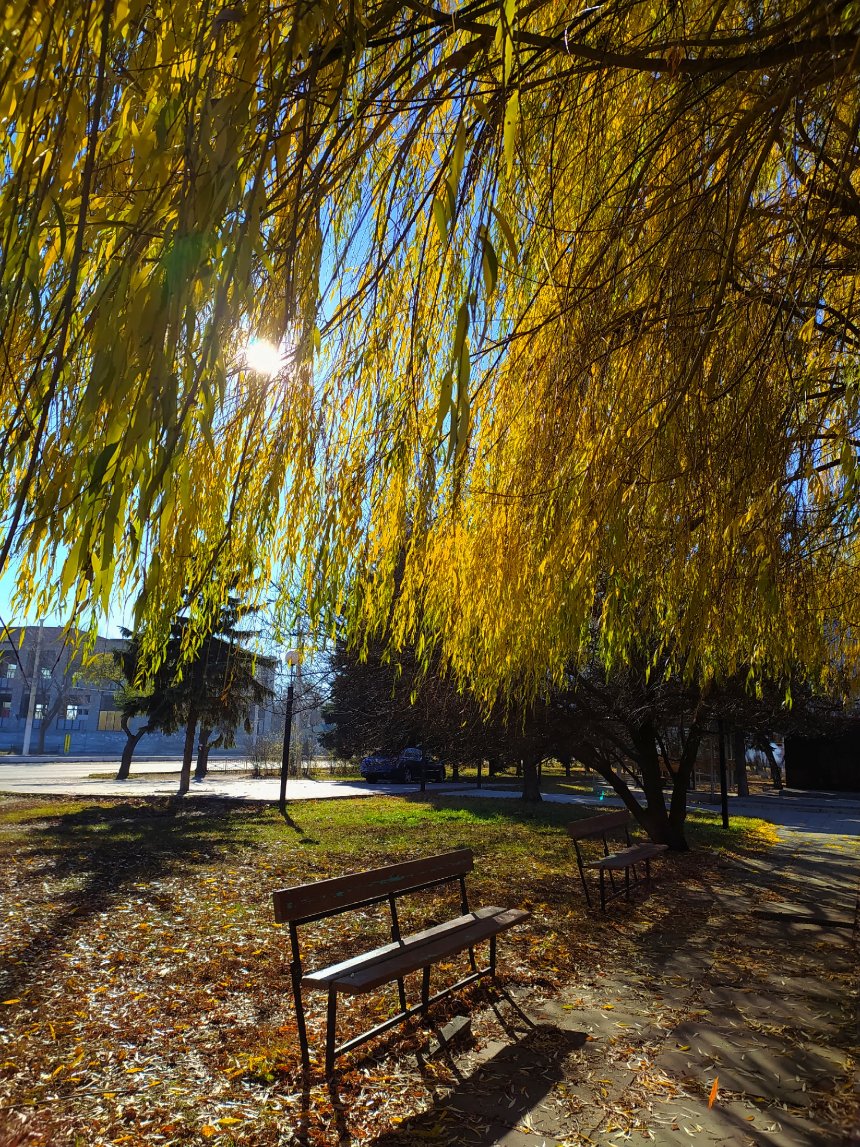 Ресторан "Apsheron" image 3