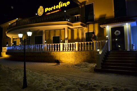 Portofino image 6