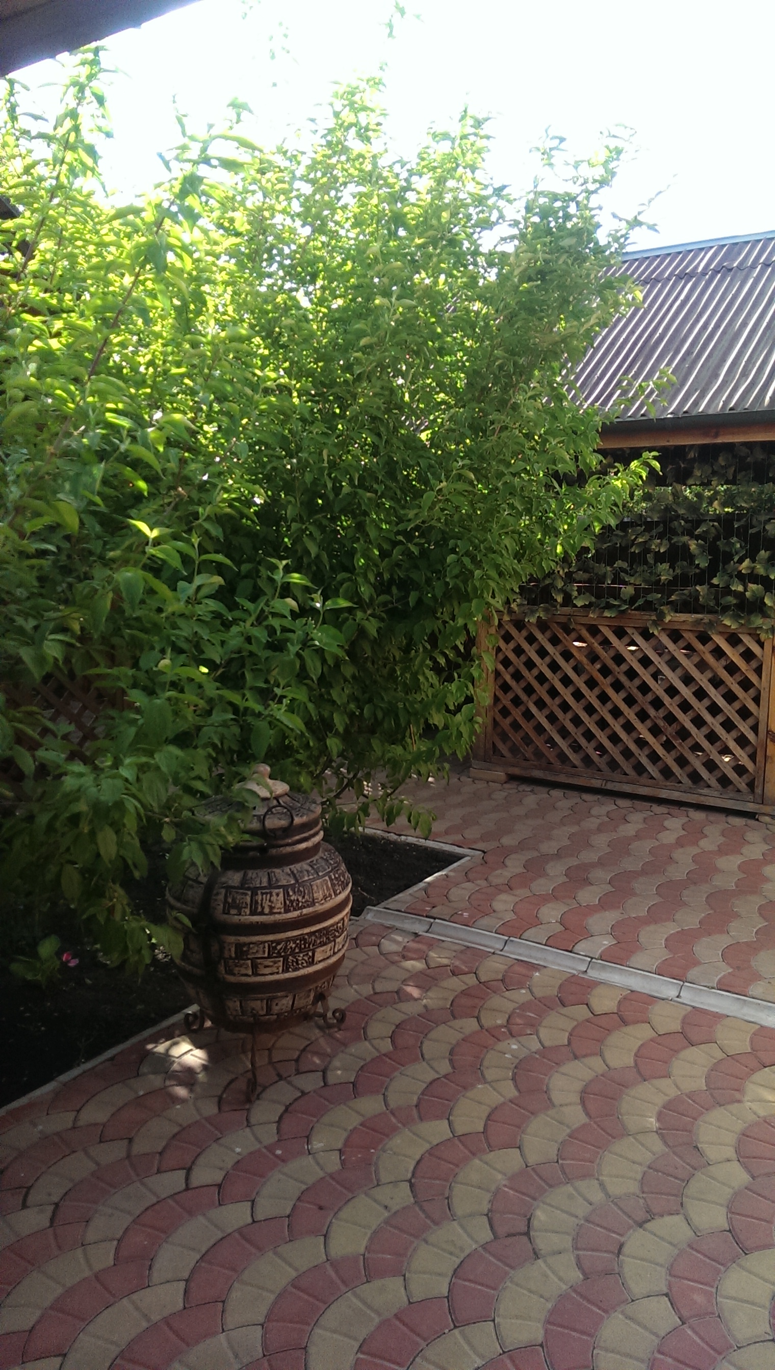 Райский Уголок image 4